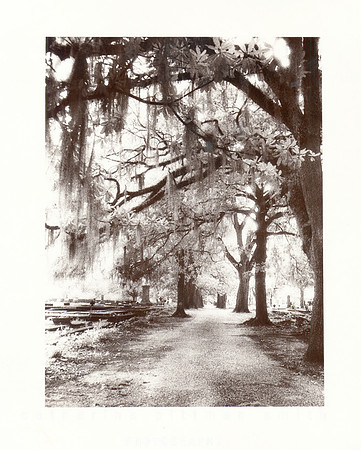 "Grace Will Lead Me Home" Infrared/11x14