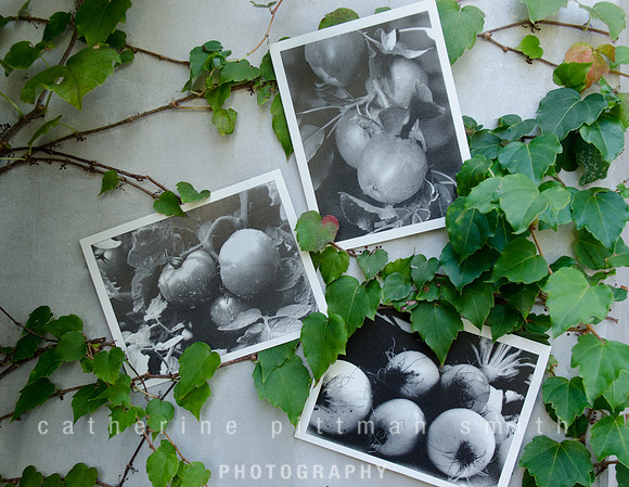"Garden" Detail Note Cards