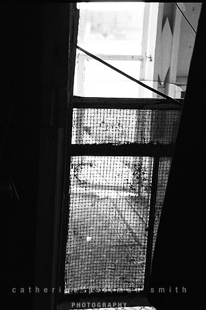 "Inside Looking Out" AL Black Belt 8x10