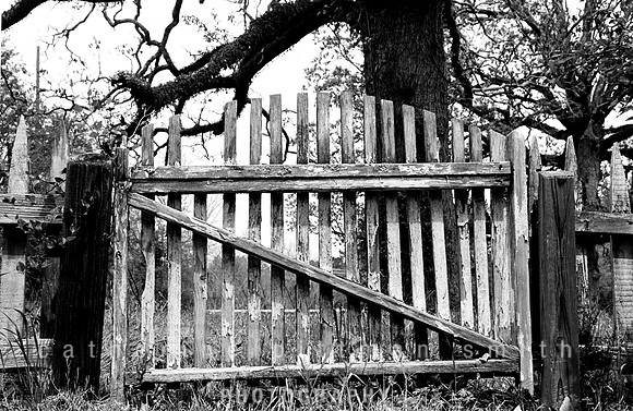"Closed Gate" AL Black Belt 8x10