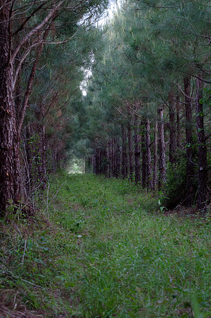 CPS_8797_edited-1