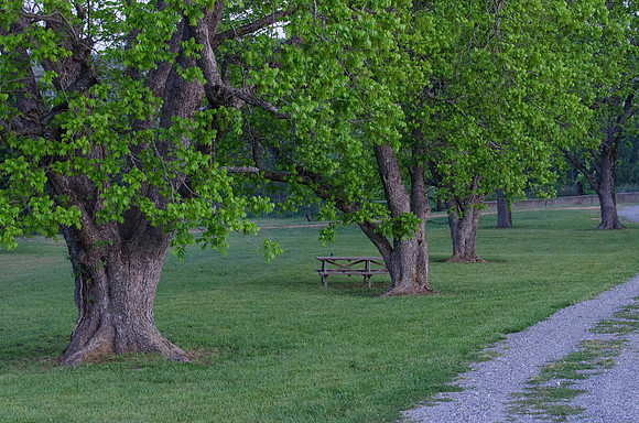 CPS_9006_edited-1