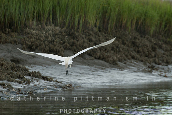 DSC_0066-1_edited-2