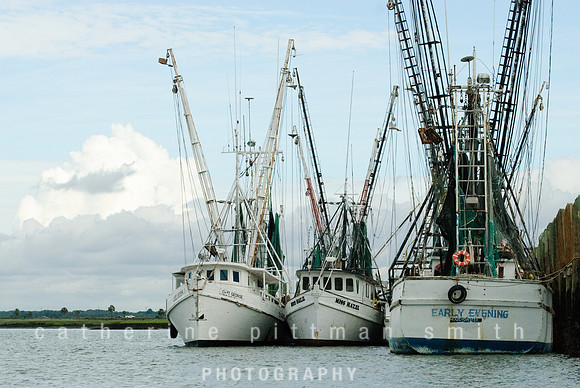 DSC_0356-1_edited-1