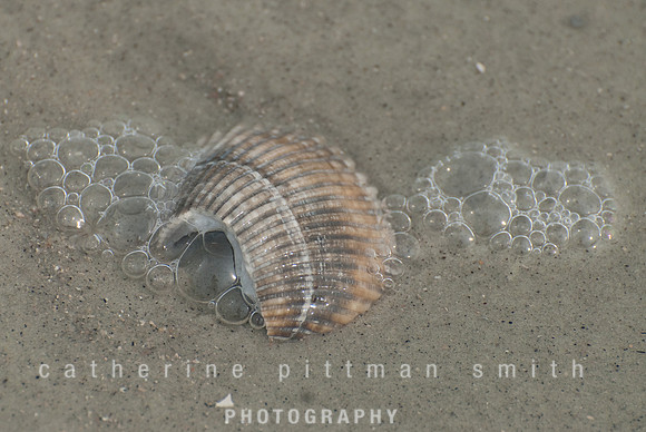 DSC_0436_edited-1