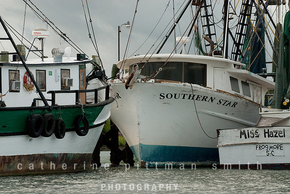DSC_9881_edited-1