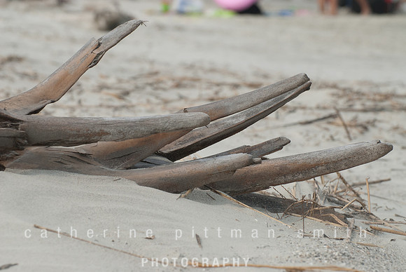 DSC_0430_edited-1