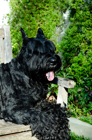 CPS_7830_edited-1
