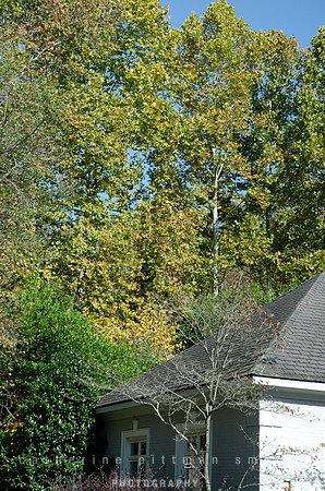 CPS_0068_edited-1