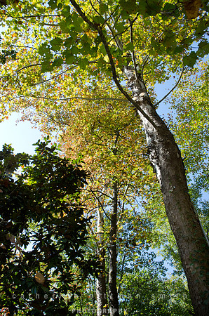 CPS_0192_edited-1