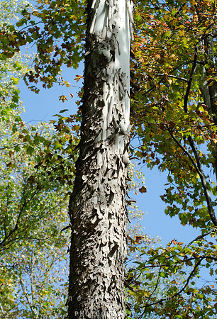 CPS_0281_edited-1