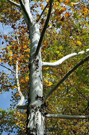 CPS_0282_edited-1