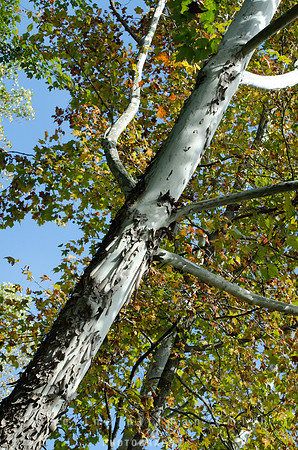 CPS_0288_edited-1
