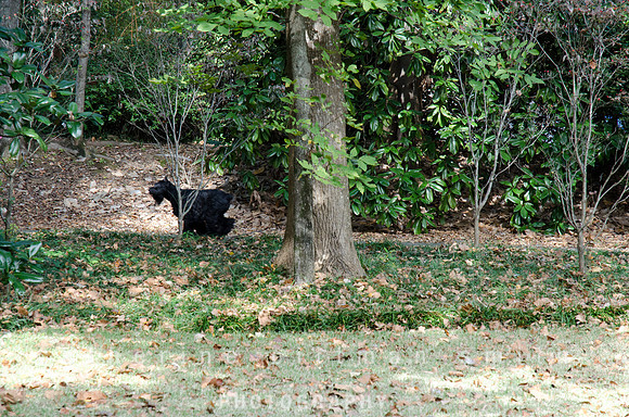 CPS_0272_edited-1