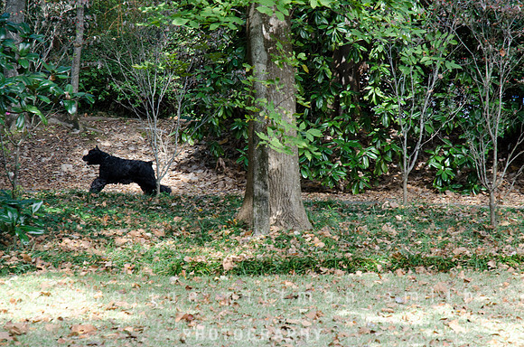 CPS_0273_edited-1