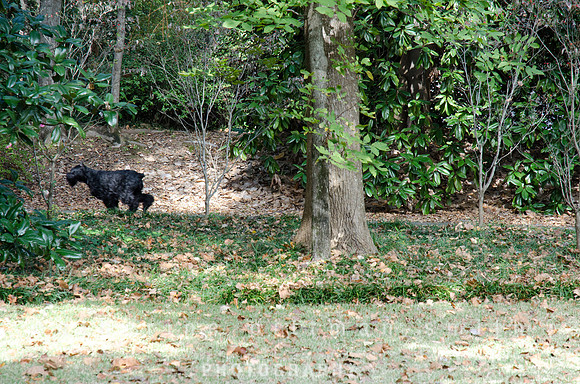 CPS_0274_edited-1
