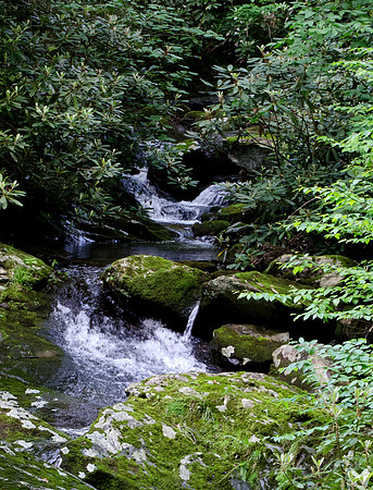 _CPS1272_edited-1