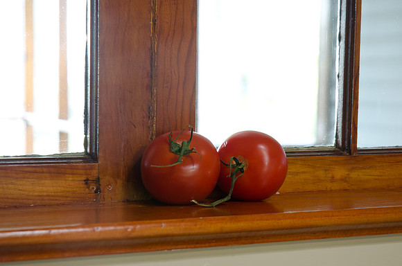 CPS_9717_edited-1