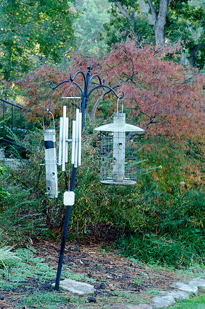 CPS_9507_edited-1