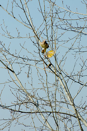 CPS_0464_edited-1