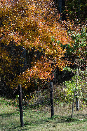CPS_0466_edited-1