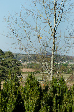 CPS_0467_edited-1
