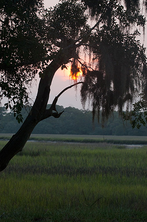 Sunset on St. Helena's