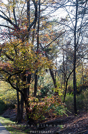 _CPS2651