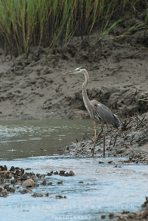 DSC_0136_edited-1