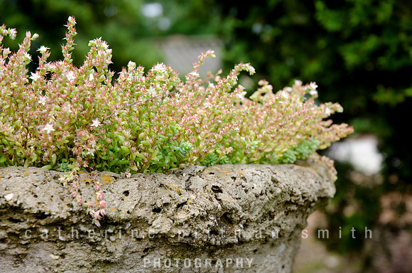 _CPS1383_edited-1