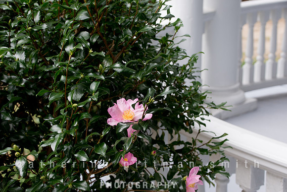 CPS_0557