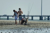 Harbor Island
