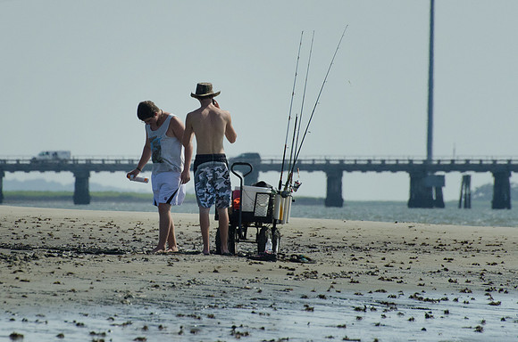Harbor Island