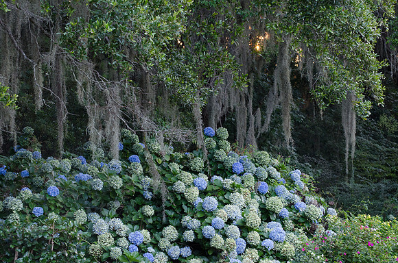 St. Helena's Island