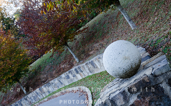 _CPS2529