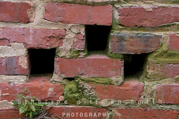 CPS_0679
