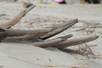 Hunting Island
