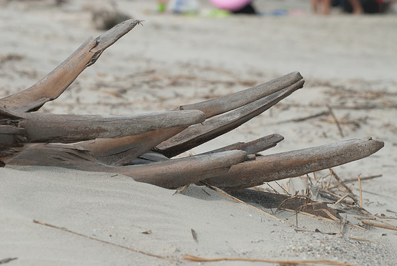 Hunting Island