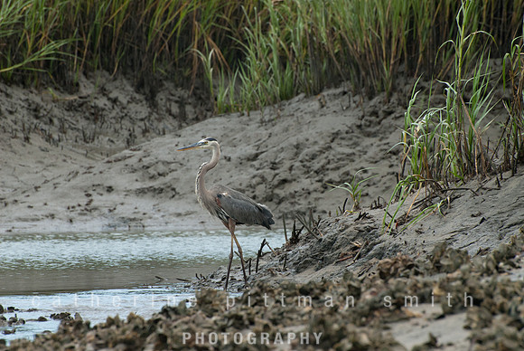DSC_0135_edited-1