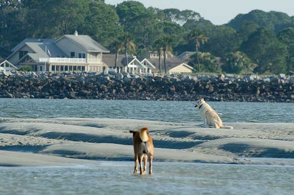 Harbor Island