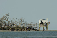 Hunting Island