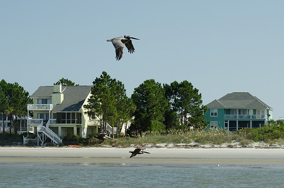 Harbor Island