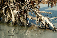Hunting Island