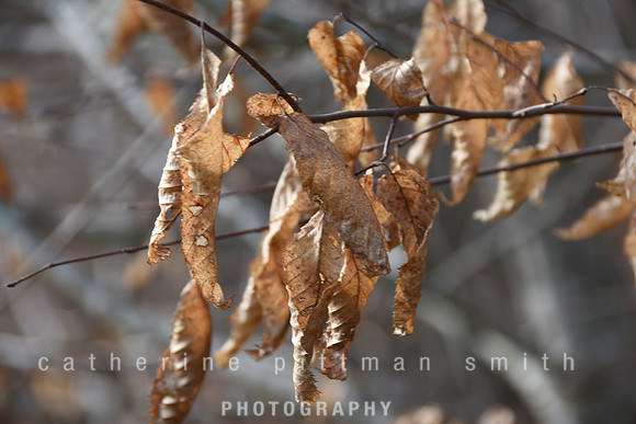 CPS_6322