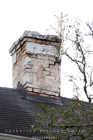 CPS_0570