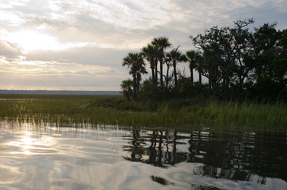"Sunshine of the Lowcountry" 7x10 on 11x14 paper
