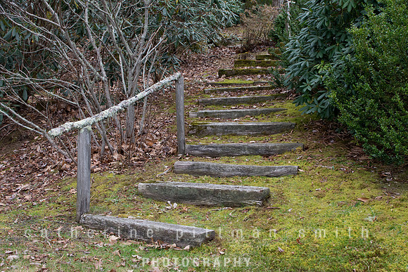 CPS_6560