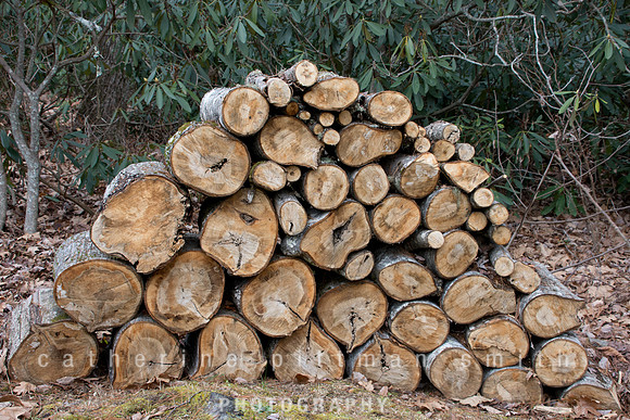 CPS_6570